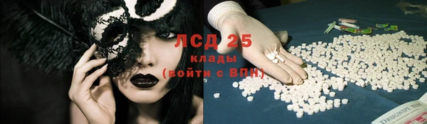 шишки Вязьма