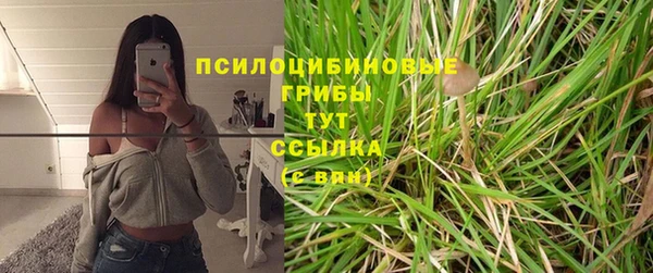 амф Вязники