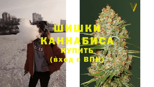 шишки Вязьма