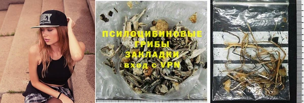 шишки Вязьма