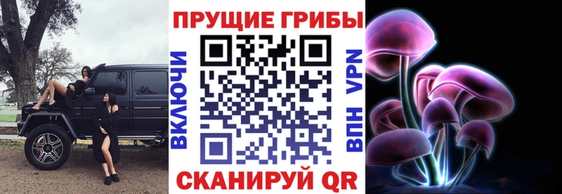 Галлюциногенные грибы прущие грибы Салават
